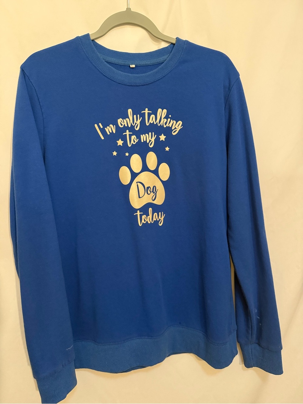 Blue “I'm Only Talking to My Dog Today” Sweatshirt for Dogs Lovers